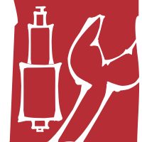 wagenschmiede-eifel - niederbettingen - kfz - werkstatt - logo